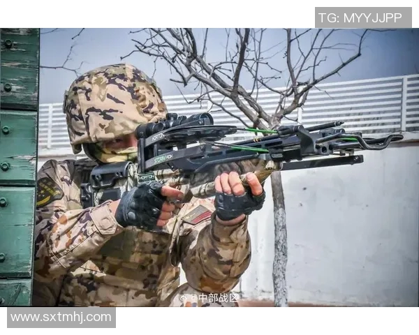 深圳排球队技术揭秘：从基础训练到战术运用的全景分析